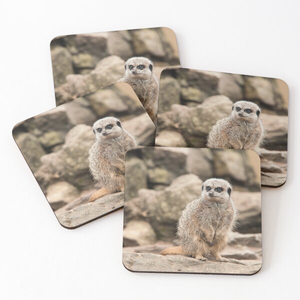 Item preview, Meerkat Photography  designed and sold by NatashaBalletta.