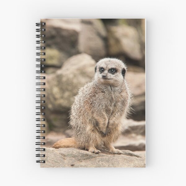 Item preview, Meerkat Photography  designed and sold by NatashaBalletta.