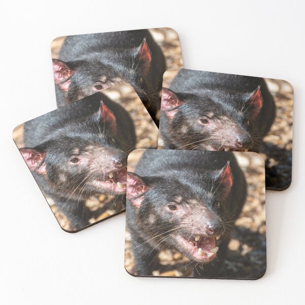 Item preview, Tasmanian devil designed and sold by AlizadaStudios.
