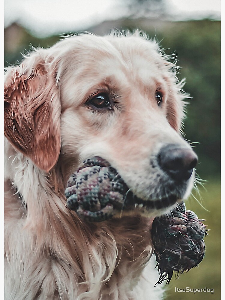 golden retriever oil painting