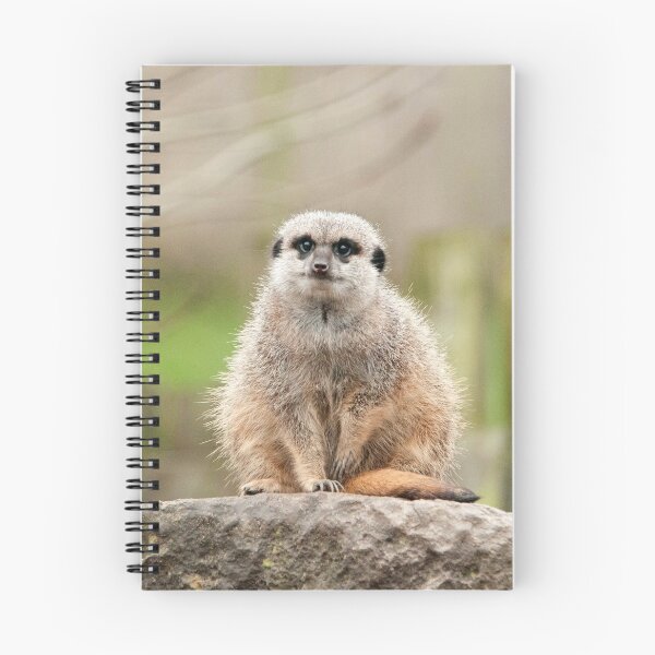 Item preview, Meerkat Photography designed and sold by NatashaBalletta.
