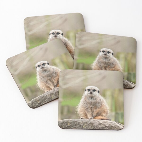 Item preview, Meerkat Photography designed and sold by NatashaBalletta.