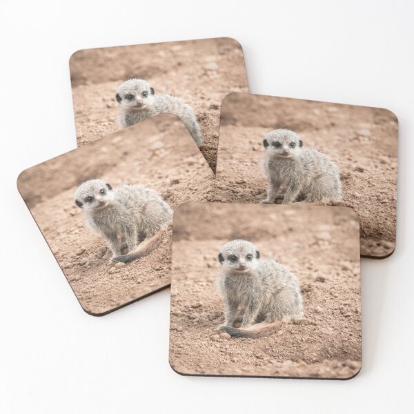 Item preview, Meerkat Pup Photography  designed and sold by NatashaBalletta.