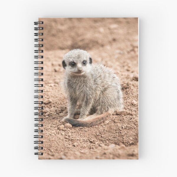 Item preview, Meerkat Pup Photography  designed and sold by NatashaBalletta.