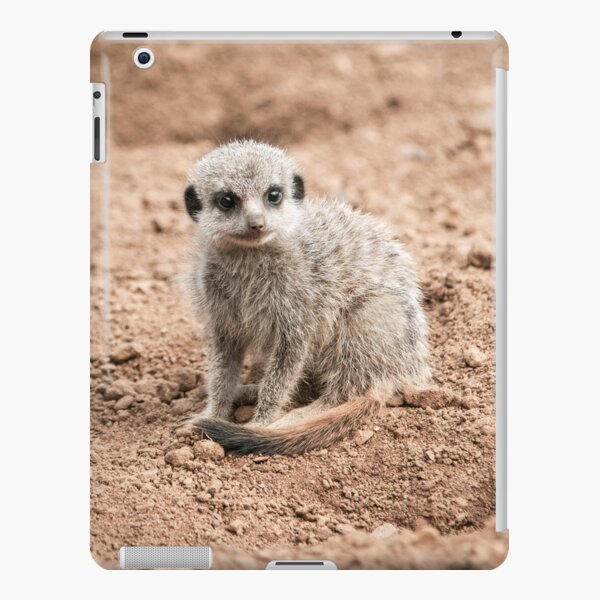Meerkat Pup Photography  iPad Snap Case