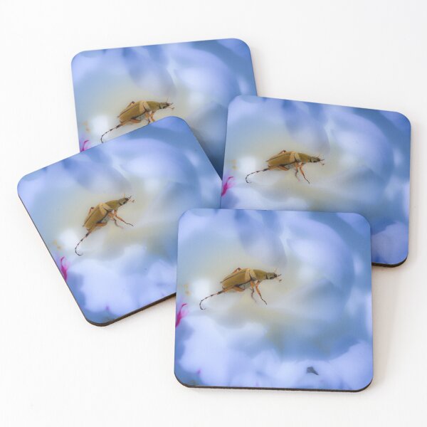 Item preview, Rose Chafer Beetle designed and sold by Robert Alsop.