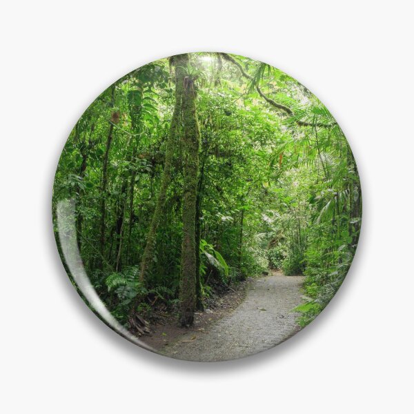 Item preview, Stone path in Monteverde cloud forest Costa Rica designed and sold by Juhku.