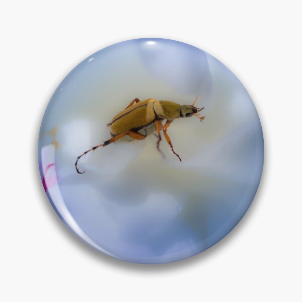 Item preview, Rose Chafer Beetle designed and sold by Robert Alsop.