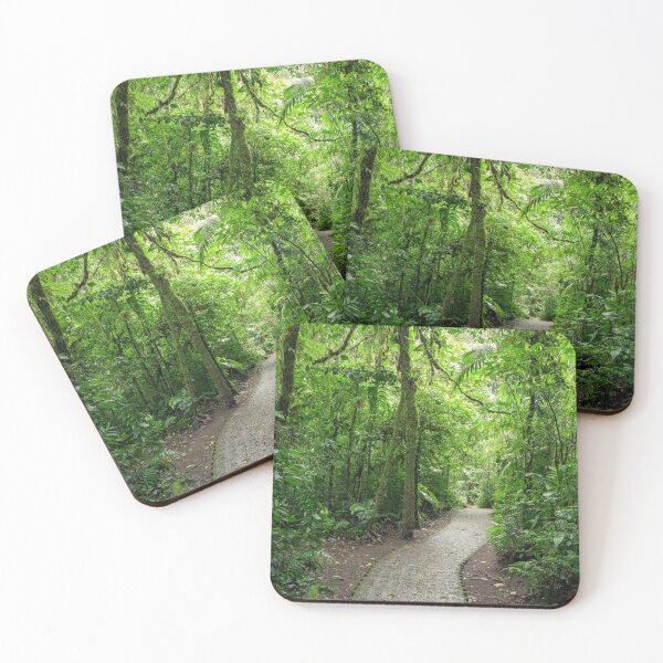 Item preview, Stone path in Monteverde cloud forest Costa Rica designed and sold by Juhku.