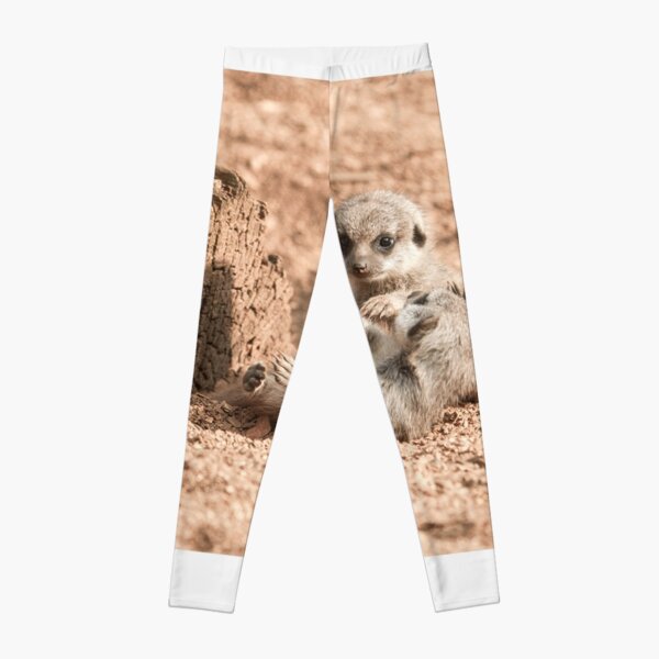 Meerkat Pups Photography Leggings