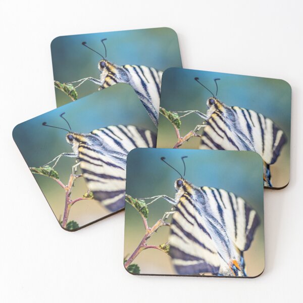 Item preview, Beautiful Iphiclides podalirius butterfly insect open wings designed and sold by Grégory DUBUS.