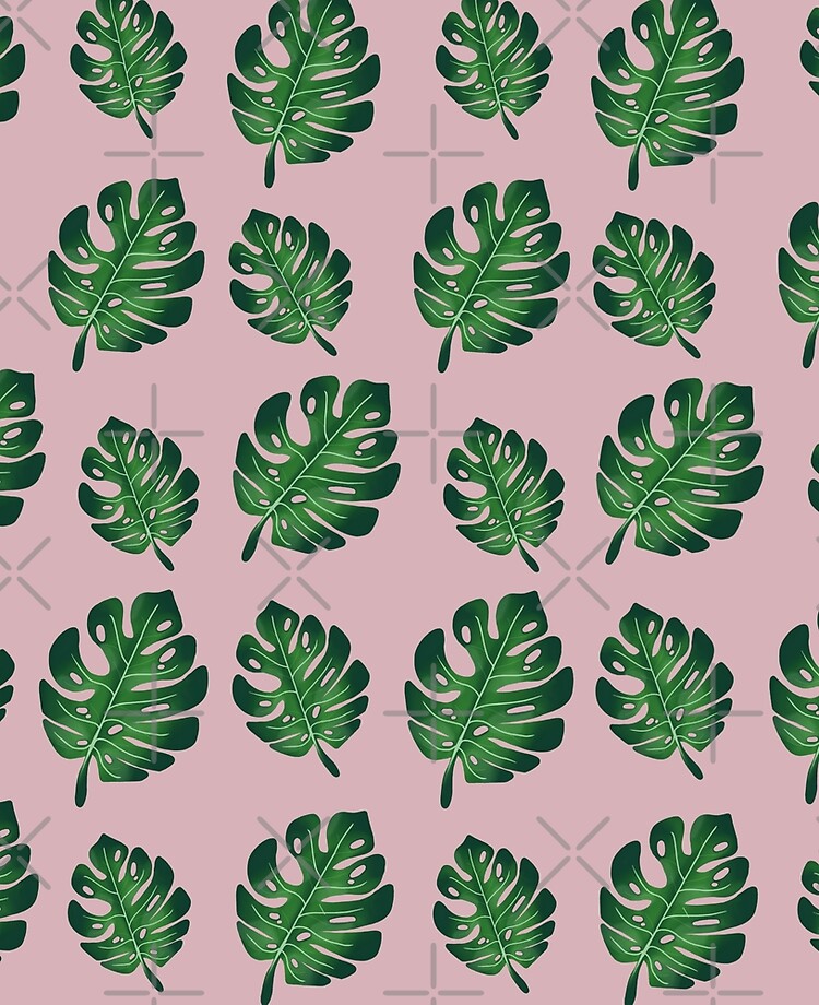 Aesthetic cute green plant wallpaper\