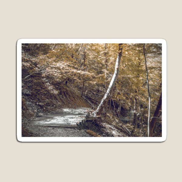 Passerelle de pont en bois dans les bois en saison d'automne Magnet