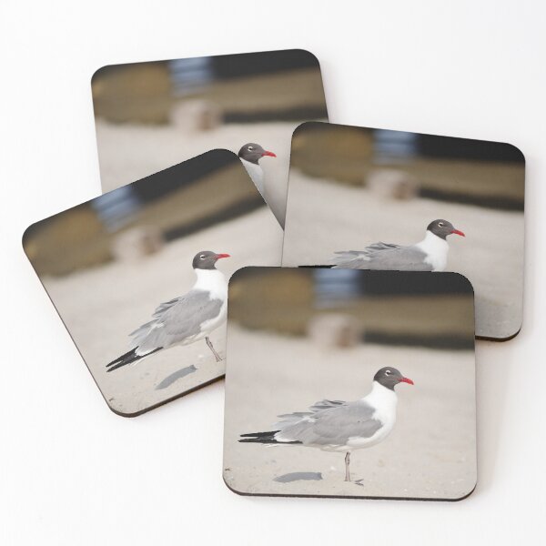 Item preview, Laughing Gull designed and sold by HectorCantres.