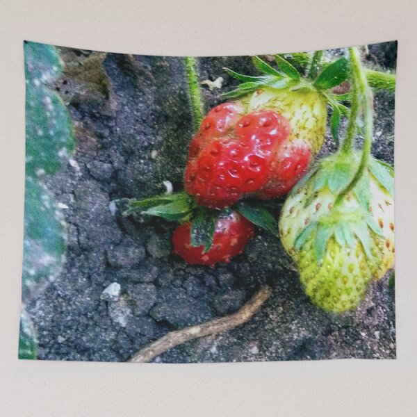 Item preview, Strawberry Branch designed and sold by hajarsdeco.