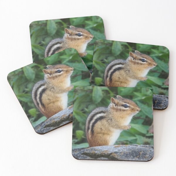 Item preview, Chipmunk designed and sold by shotsfromthehip.