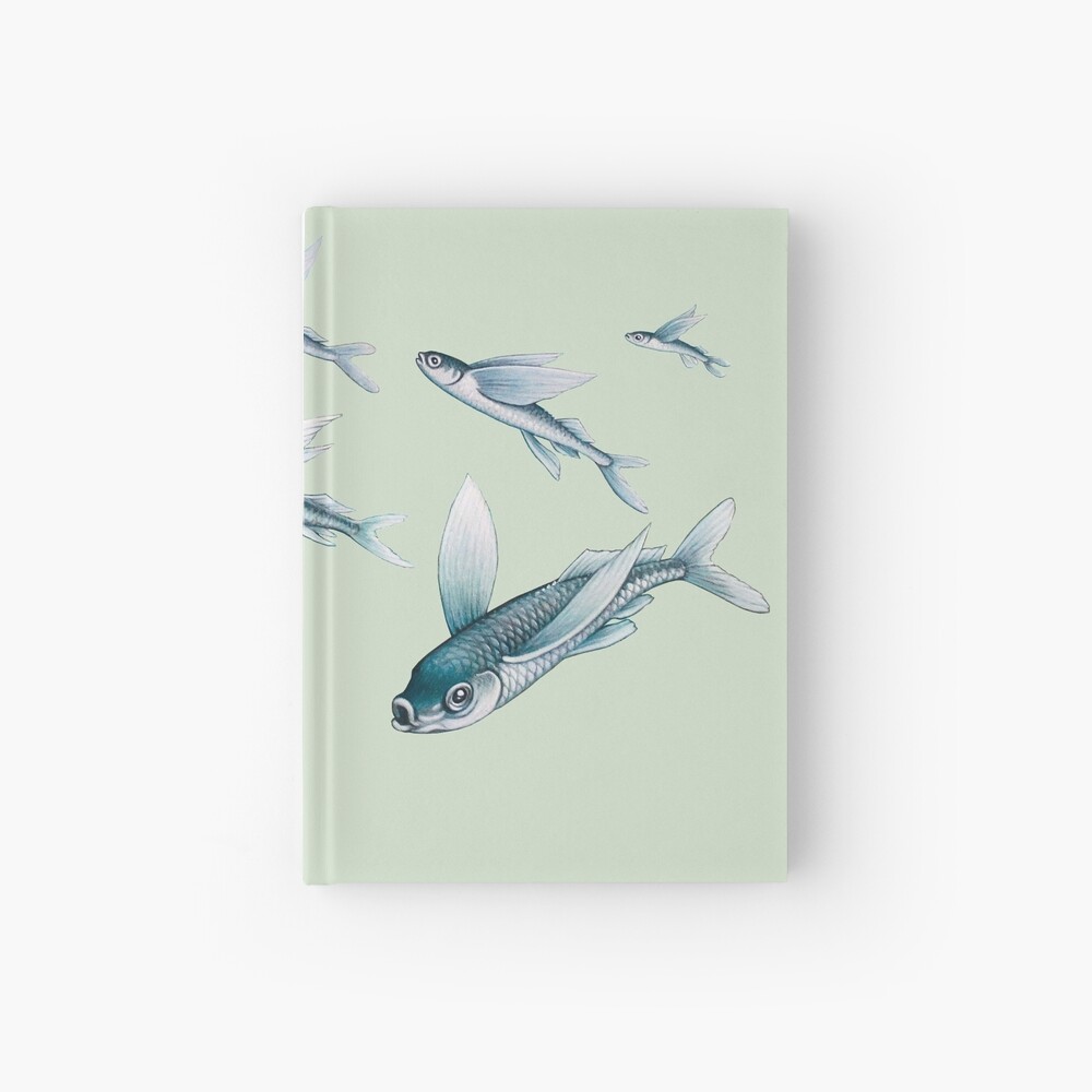 Carnet cartonné « Exocets»