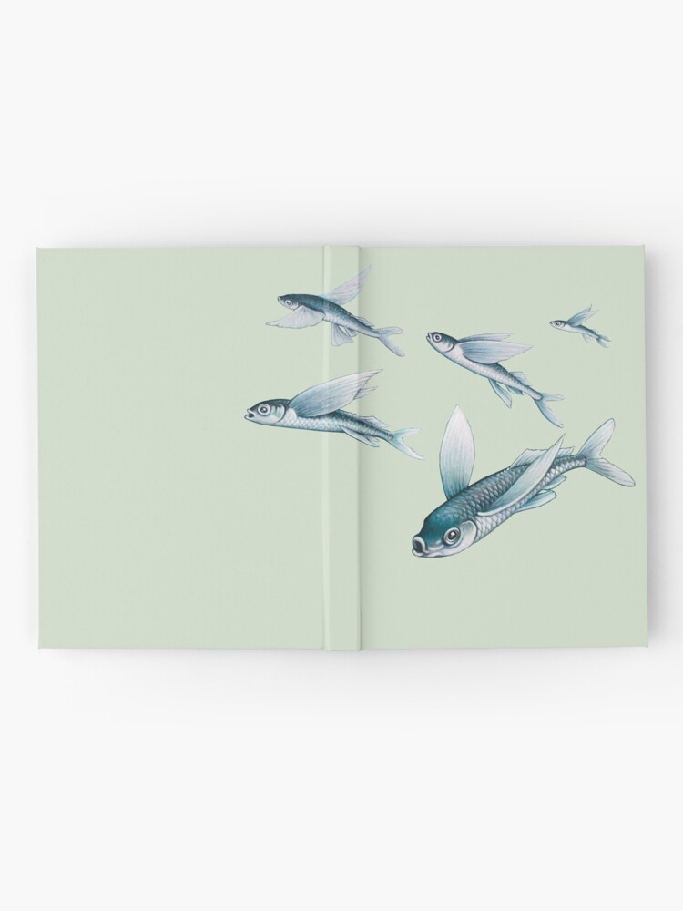 Carnet cartonné ''Exocets' : autre vue