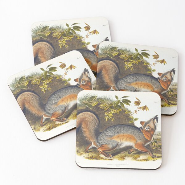 Item preview, Gey Fox - John James Audubon designed and sold by Vintage Designs +.