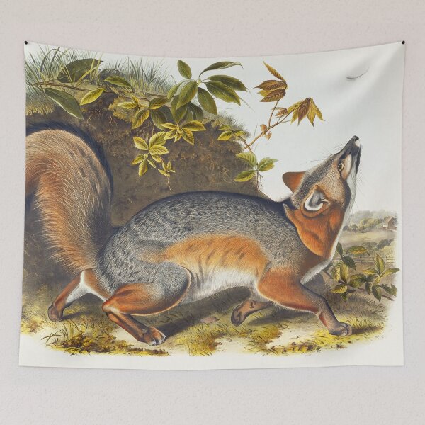 Item preview, Gey Fox - John James Audubon designed and sold by Vintage Designs +.