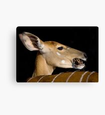 Don't Talk With Your Mouth Full ! Canvas Print