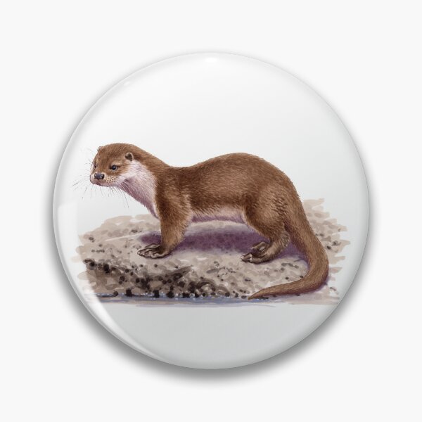 Item preview, Eurasian Otter designed and sold by kokayart.