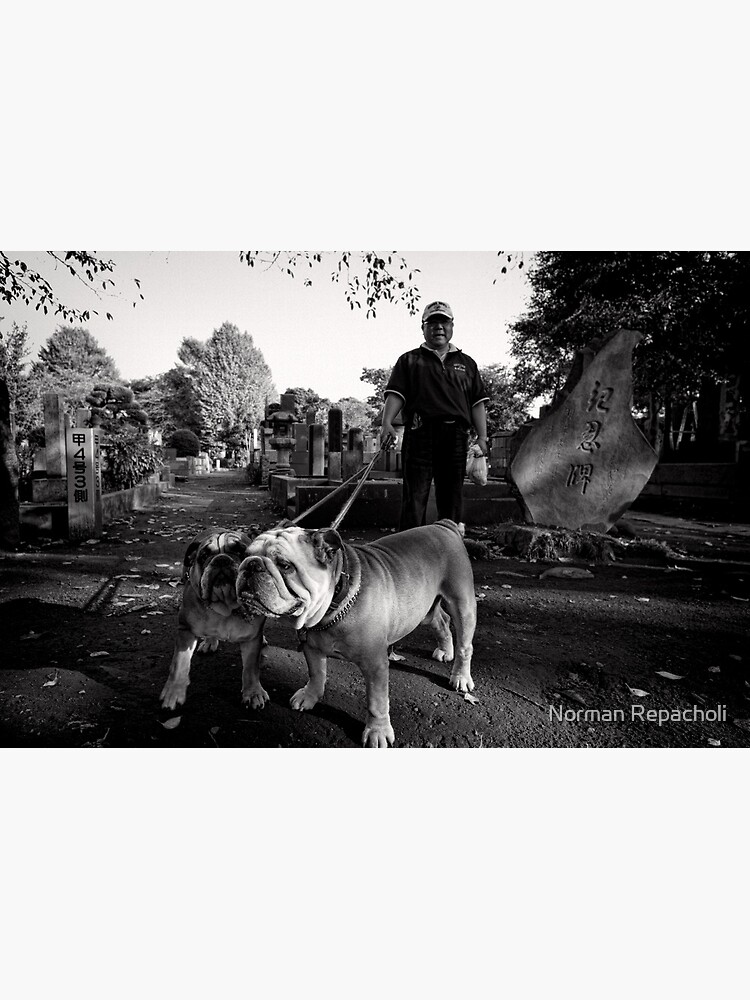 Bulldog Pride - Japan by keystone