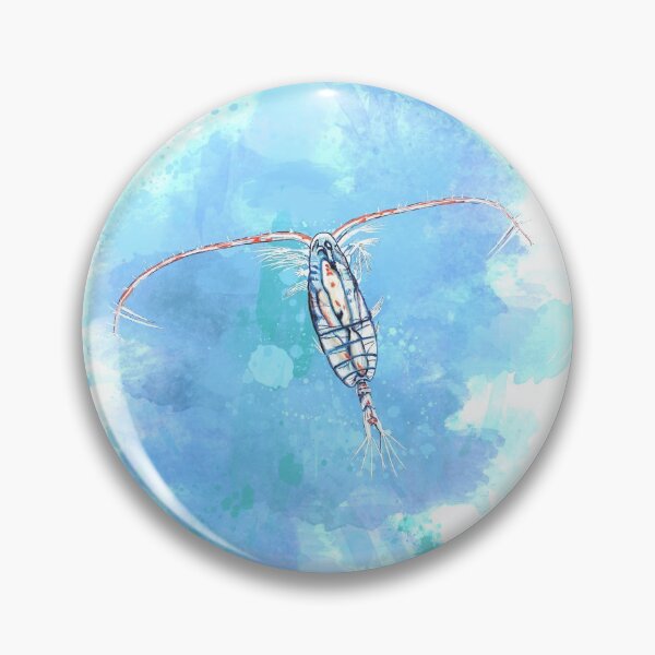 Item preview, Sea creatures - Copepod designed and sold by Petrún Sigurðardóttir.
