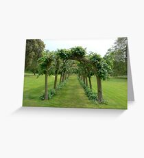 Trees form an archway. Greeting Card