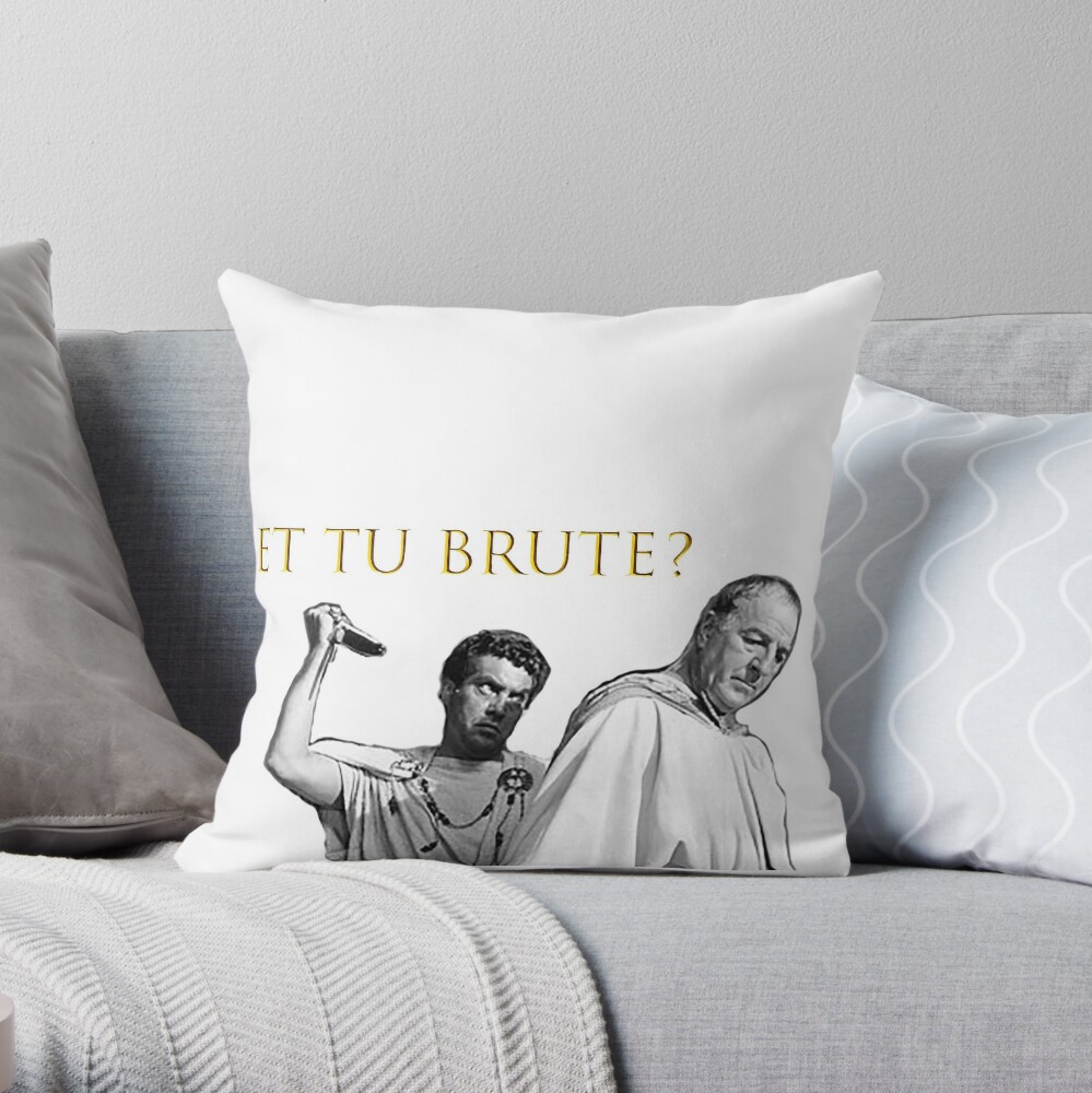 https://ih1.redbubble.net/image.1130525373.3437/throwpillow,small,1000x-bg,f8f8f8-c,0,200,1000,1000.u1.jpg