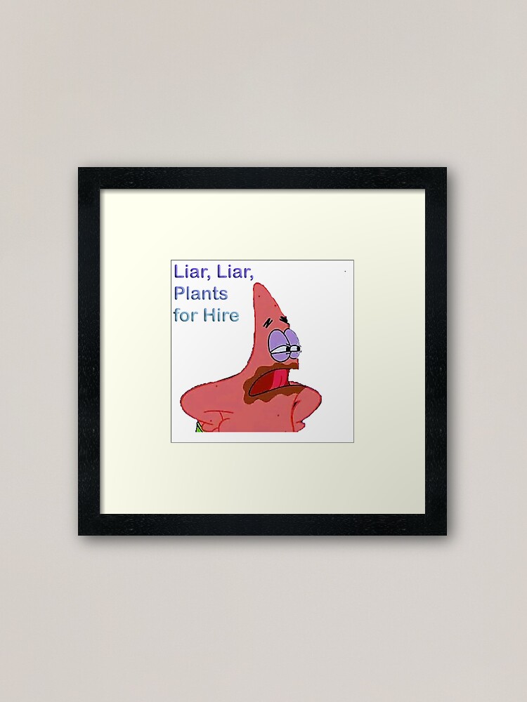 Patrick Funny Quote Framed Art Print By Marisaj44 Redbubble