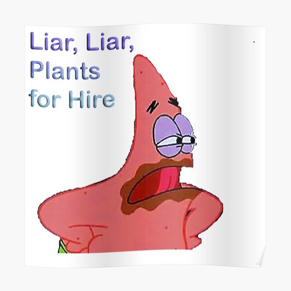 Funny Liar Posters Redbubble