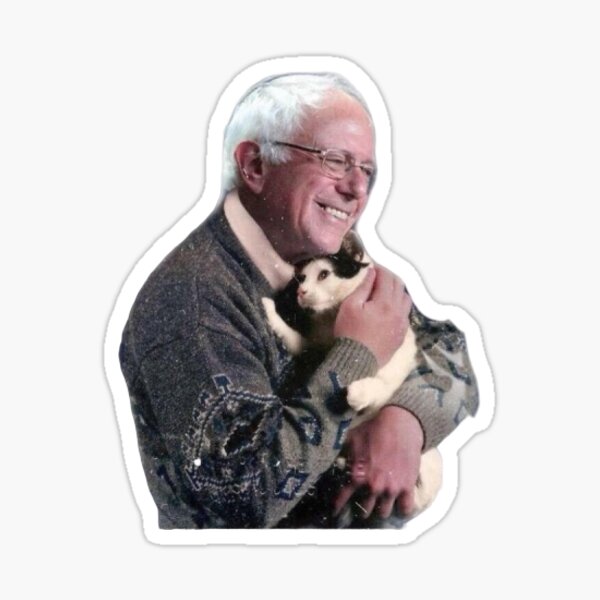 Bernie Sanders with cat Sticker