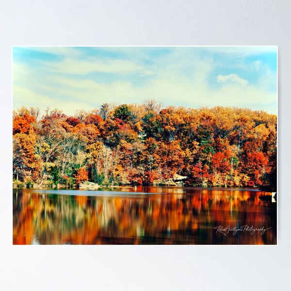 Item preview, The Colours of Fall designed and sold by Rena-Apollymi.