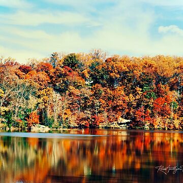 Artwork thumbnail, The Colours of Fall by Rena-Apollymi