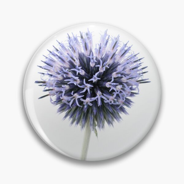 Item preview, Echinops designed and sold by Chris Burrows.