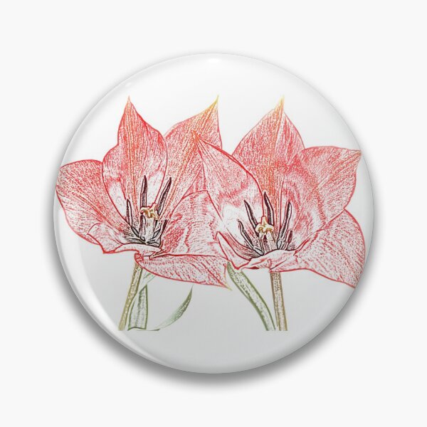 Item preview, Tulipa linifolia  Flax-leaved tulip  Miscellaneous tulip Artistic filter applied to photo designed and sold by Chris Burrows.