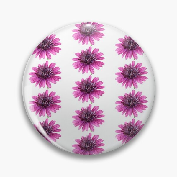 Item preview, Osteospermum  Flower Power Double Series  Double berry purple  designed and sold by Chris Burrows.