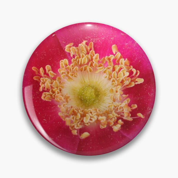 Item preview, Rosa rugosa  Hedgerow rose  designed and sold by Chris Burrows.
