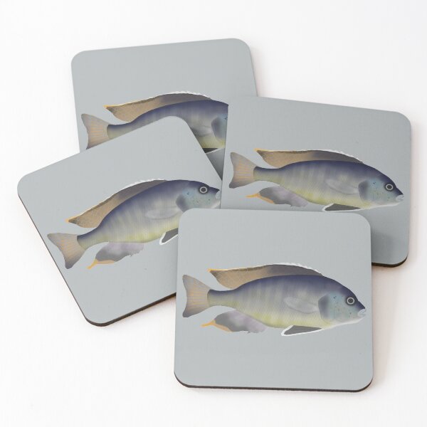 Item preview, Trematocranus placodon designed and sold by fishfolkart.