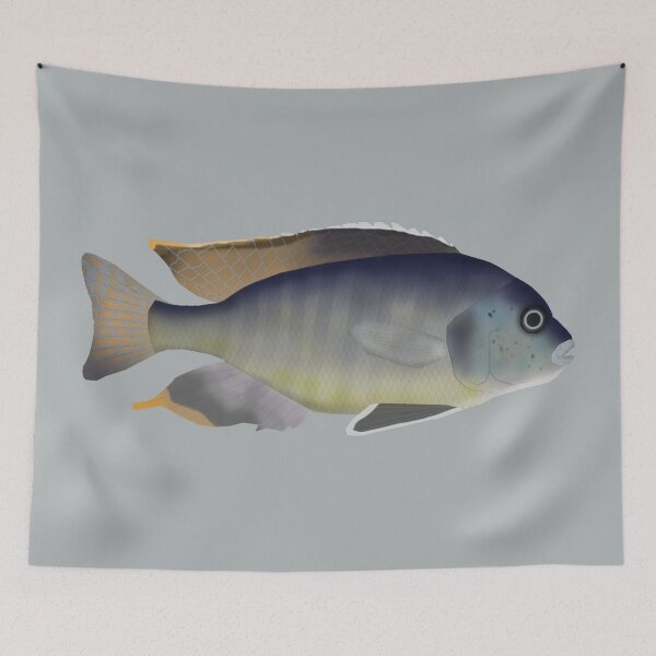 Item preview, Trematocranus placodon designed and sold by fishfolkart.