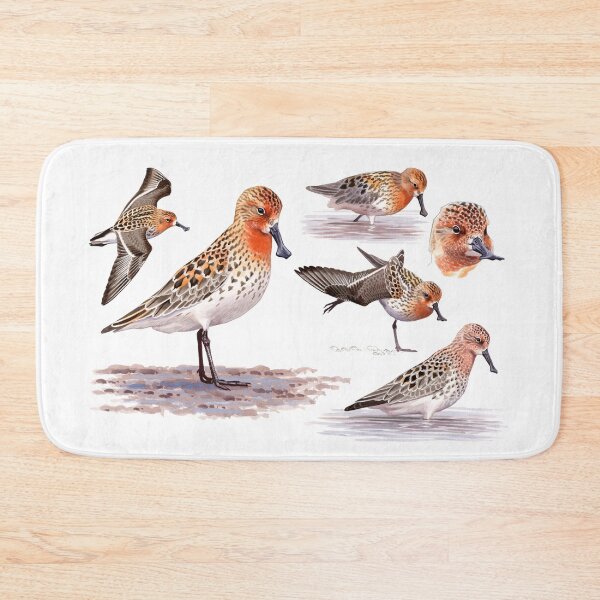 Item preview, Spoon-billed Sandpiper designed and sold by kokayart.
