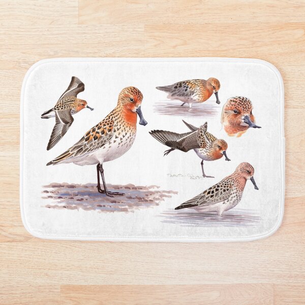 Item preview, Spoon-billed Sandpiper designed and sold by kokayart.