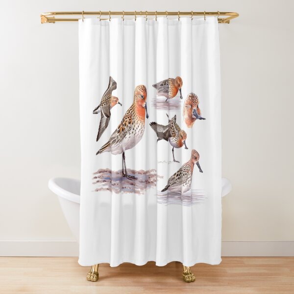 Spoon-billed Sandpiper Shower Curtain