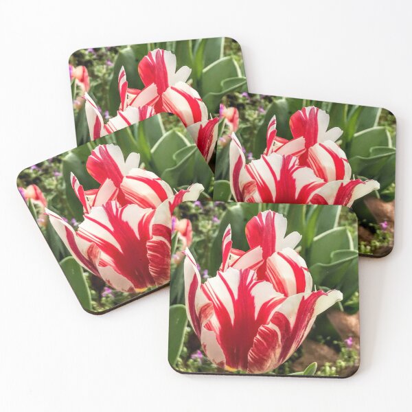 Item preview, Tulip designed and sold by Robin Kinnard.