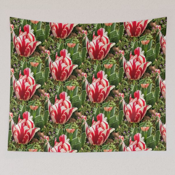 Item preview, Tulip designed and sold by Robin Kinnard.