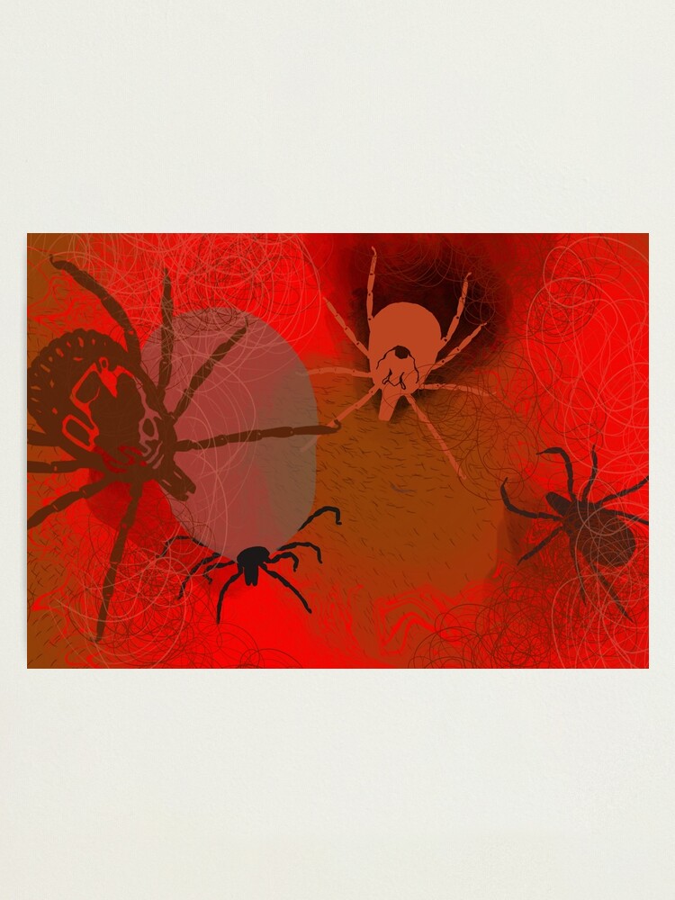 Alternate view of Ticks Photographic Print