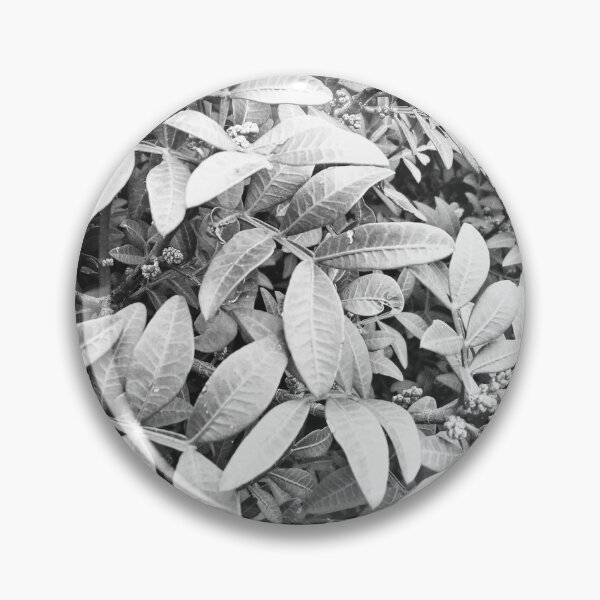Item preview, Foliage in black and white designed and sold by Bonheurem.