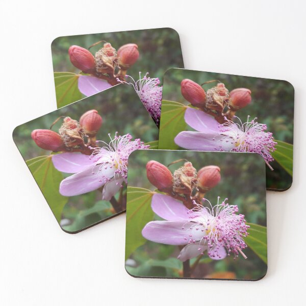 Item preview, Beautiful Tropical Flower with Purple Petals and Anthers designed and sold by Creative Endeavors ..