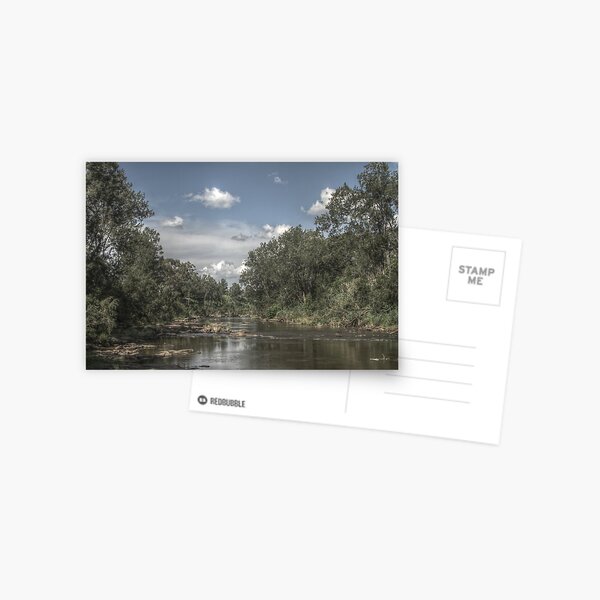 Richmond River Postcard